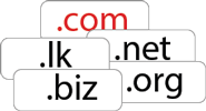 Domain Name Registration